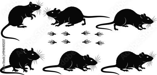Black silhouette vector illustration of rats in multiple poses with footprints, symbolizing wildlife, pest control, biology, and animal tracking design themes