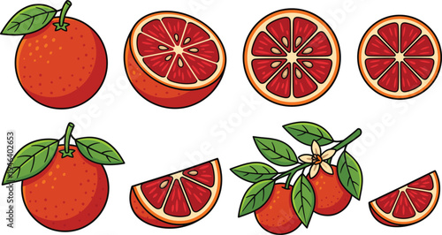 Grapefruit fruit vector illustration set with whole citrus, cross section slices, wedges and leaves isolated fresh tropical food elements