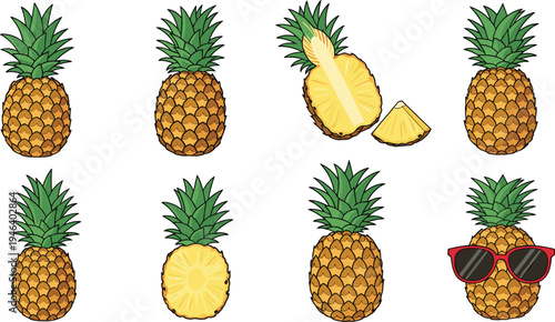 Pineapple fruit vector illustration set with whole pineapple, sliced pieces, tropical fruit collection and cute pineapple with sunglasses isolated