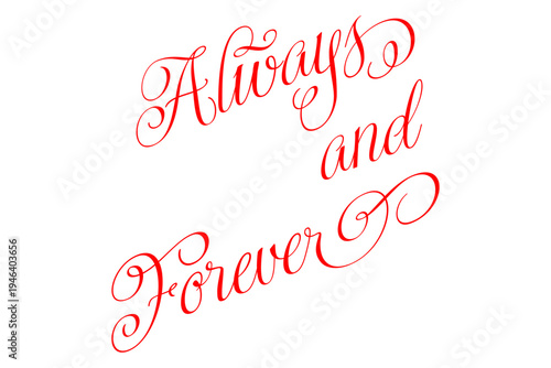 Always and Forever - Always and Forever words on white background, calligraphy, handwritten, vector
