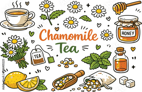 Chamomile flower tea ingredients doodle vector illustration featuring dry chamomile, honey, mint, tea bag, lemon, Doodle vector set for brewing and preparing hibiscus tea ingredients isolated