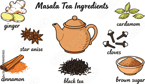 Masala tea ingredients doodle vector illustration featuring dry black tea, sugar, cardamom, cinnamon, clove, Doodle vector set for brewing and preparing hibiscus tea ingredients isolated