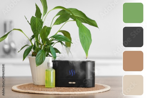Air humidifier, essential o...