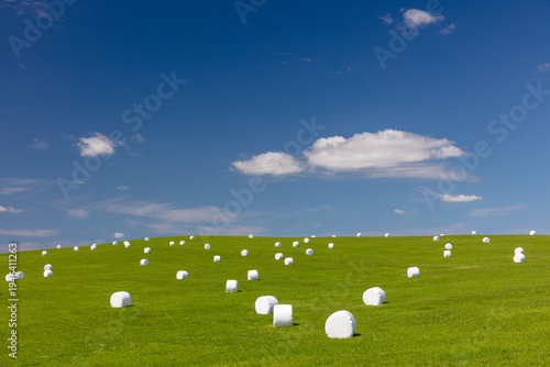 Fotografía Pasture landscape with wrapped hay bales on green hills, Wakkanai, Hokkaido, Jap