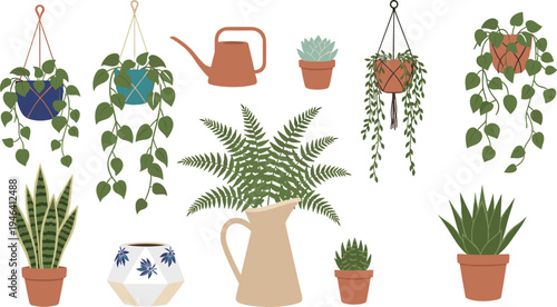 Indoor houseplants and gardening accessories vector illustration with decorative pots, succulents, leafy greens, hanging macrame planters, watering can, pitcher