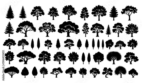 Collection of 30 diverse tree silhouettes with evergreen and deciduous forest trees isolated vector set