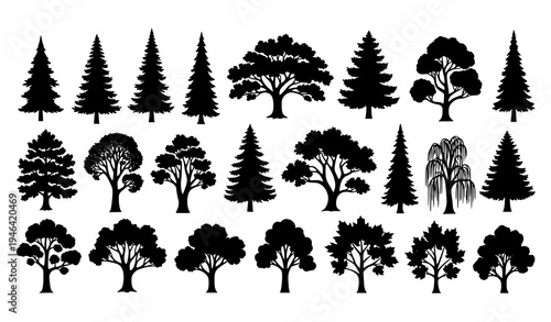 Assorted forest tree silhouettes set with 30 evergreen and deciduous trees isolated vector