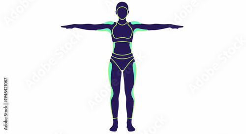 Human Body Anatomy Silhouette with Athletic Wear and Muscle Definition Highlights Vector Illustration