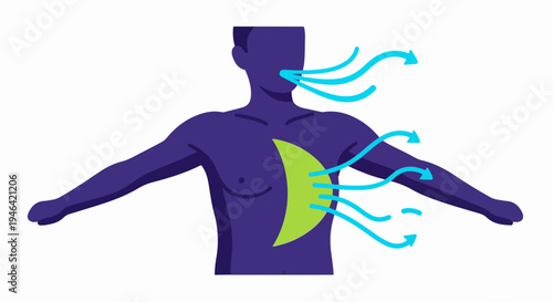 Human Body Respiration Concept Showing Air Inhalation and Exhalation with Lungs and Flowing Arrows