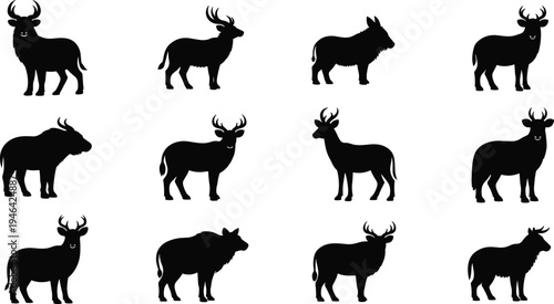 Deer and elk silhouette collection featuring different antlered wildlife poses including standing stag animals isolated black vector forest animal illustration icon set
