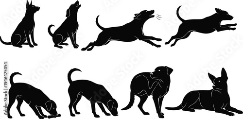 Dog silhouette collection showing different canine poses including sitting, barking, running, jumping, playing and standing pet animals isolated black vector illustration set