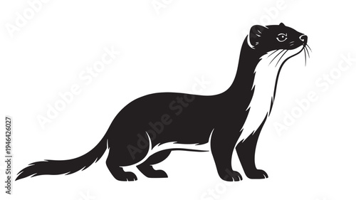 Weasel silhouette profile with white markings on chest and ear, rendered in bold black and white graphic art style.