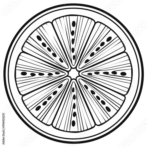 Stylized Line Art Drawing of a Citrus Fruit Slice with Radial Segments and Seeds