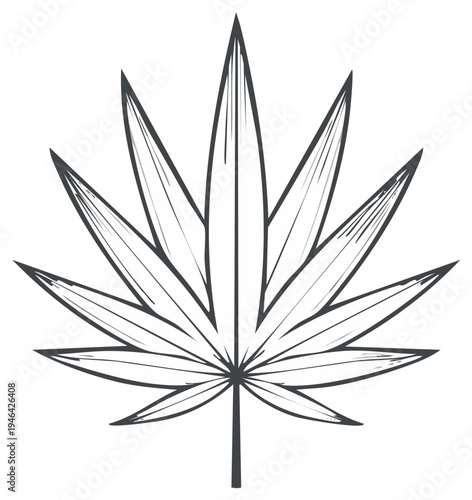 Botanical cannabis leaf line art illustration natural organic hemp plant drawing