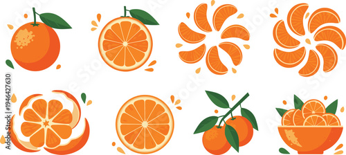 Orange citrus fruit collection with whole oranges slices segments peeled fruit and bowl of oranges healthy food flat vector illustration