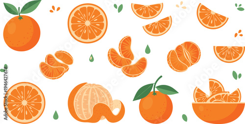 Fresh orange citrus fruit collection with whole oranges slices segments peeled fruit and leaves healthy food flat vector illustration set