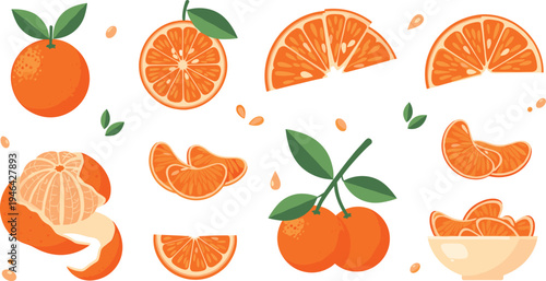 Fresh orange fruit collection with whole oranges slices peeled segments and leaves citrus food illustration flat vector set isolated
