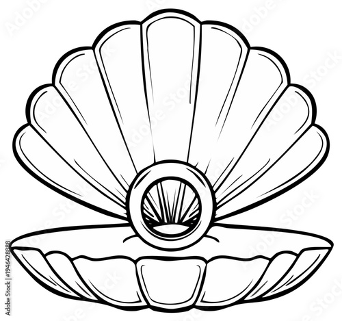 Open Scallop Seashell Outline Illustration