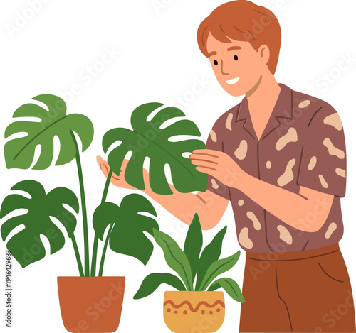 Man examines large leafy plants in pots on a table inside