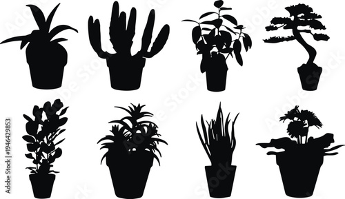 Black silhouette potted houseplants collection with cactus succulent bonsai and leafy indoor plants vector illustration set isolated botanical icons for home decor gardening design