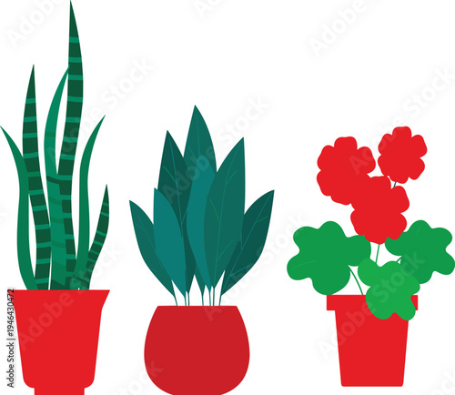 Flat vector potted houseplants with snake plant leafy foliage and red flowering plant in modern pots isolated botanical indoor plants illustration for home decor