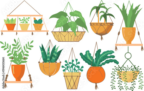 Hanging houseplants collection vector illustration with indoor potted plants in macrame hangers and decorative pots modern botanical home decor isolated plant set