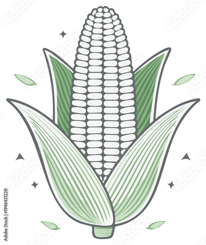 Stylized vector illustration of an ear of corn with green husks, isolated design element.