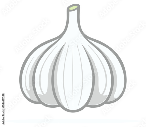Stylized illustration of a single white garlic bulb with clean lines and subtle shading