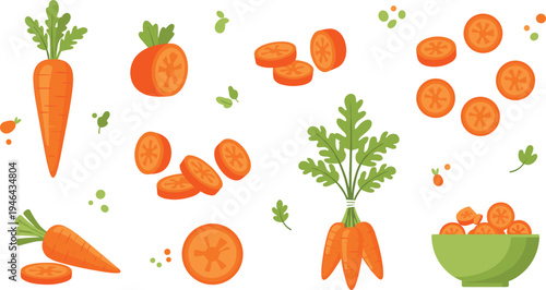 Fresh carrot vegetable collection with whole carrots slices carrot bunch and bowl of carrots healthy organic food flat vector illustration