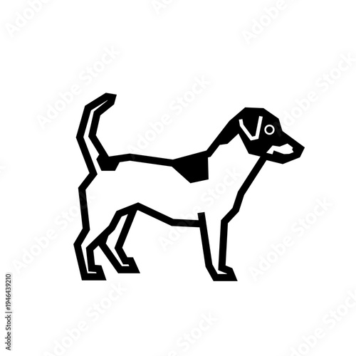 Jack Russell Terrier