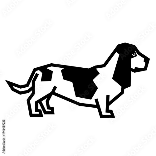 Basset hound