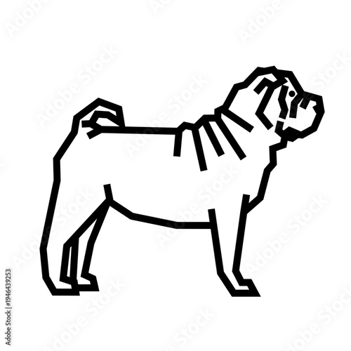 Shar pei