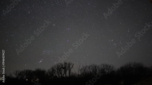 Night sky stars and orion constellation moving over trees