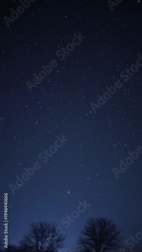 Night sky stars moving over treetops