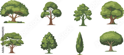 Set of different green trees collection, cartoon nature illustration, forest plant elements, eco friendly design artwork, cad drawing flat vector illustration