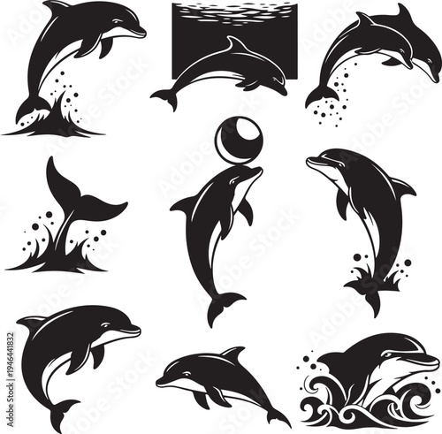Set of 9 dolphin icons vector