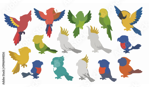 Colorful tropical parrot birds cartoon collection cute exotic wildlife vector set