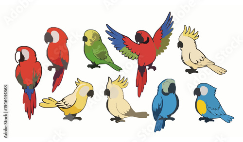 Tropical cartoon parrot birds colorful exotic wildlife cute vector character set