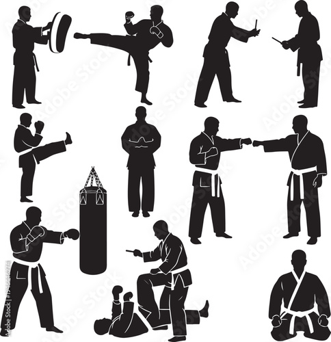 Set of 12 martial arts vector silhouettes