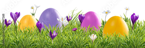 Easter eggs and wild flowers in grass isolated on transperent