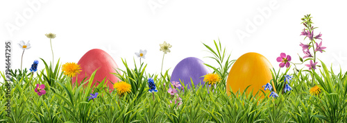 Easter eggs and wild flowers in grass isolated on transperent