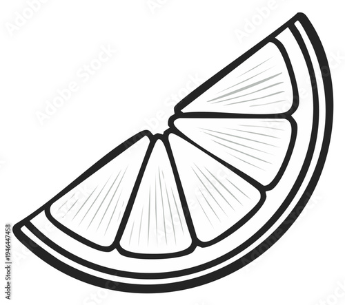 Stylized Citrus Fruit Slice: Graphic Linear Cut Section of an Orange, Lemon or Lime
