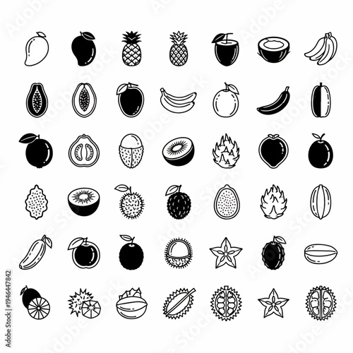 Collection of Hand-Drawn Tropical Fruits and Berries Icons Set Vector Illustration Isolated on White Background