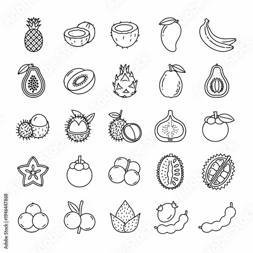 Collection of Hand Drawn Tropical Fruits Vector Icons Set Exotic Food Symbols Isolated White Background Outline Style