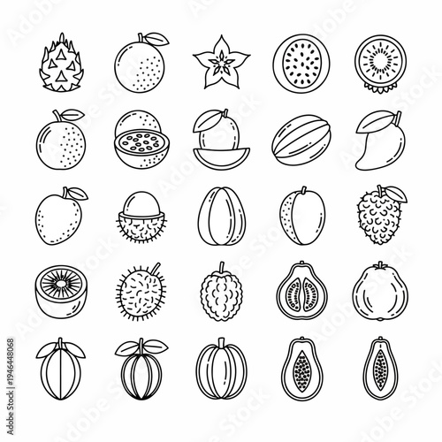 Collection of Fresh Exotic Tropical Fruits Hand Drawn Line Art Icons and Symbols Vector Set
