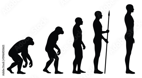 The evolution of humans from ape to modern man