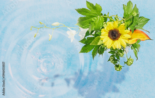 向日葵と水面