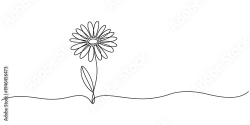 daisy flowers continuous one line drawing, Minimalist one line art of a daisy flower on a white background, in outline illustration.
