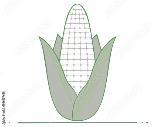 Illustration of a stylized corn on the cob with leaves, vector design
