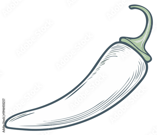 Stylized Jalapeno Pepper Illustration, Culinary Herb Ingredient, Spicy Food Component Design